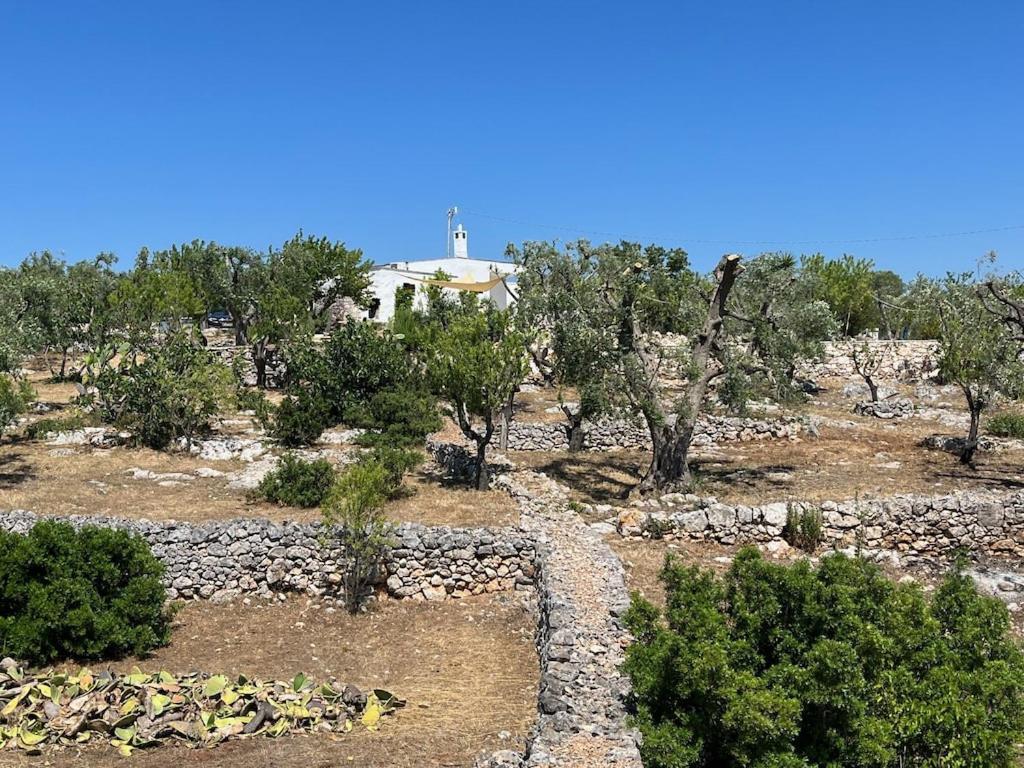 Casa Giuliveto - Charmantes Ferienhaus Mit Privatpool In Olivenhain Ostuni Exterior foto