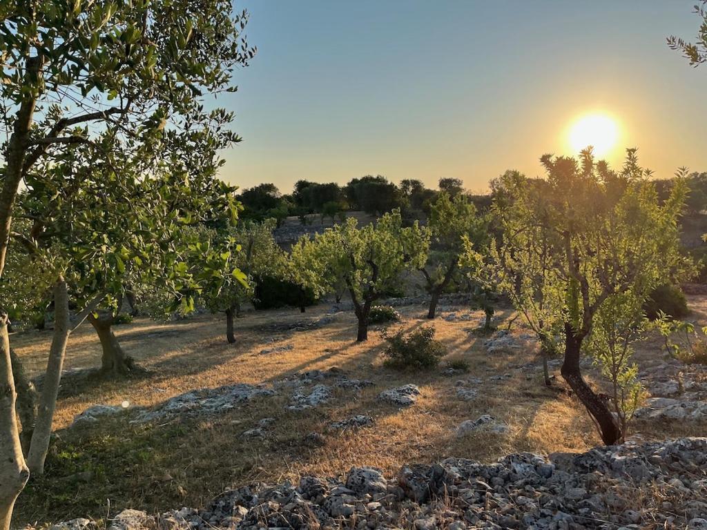 Casa Giuliveto - Charmantes Ferienhaus Mit Privatpool In Olivenhain Ostuni Exterior foto