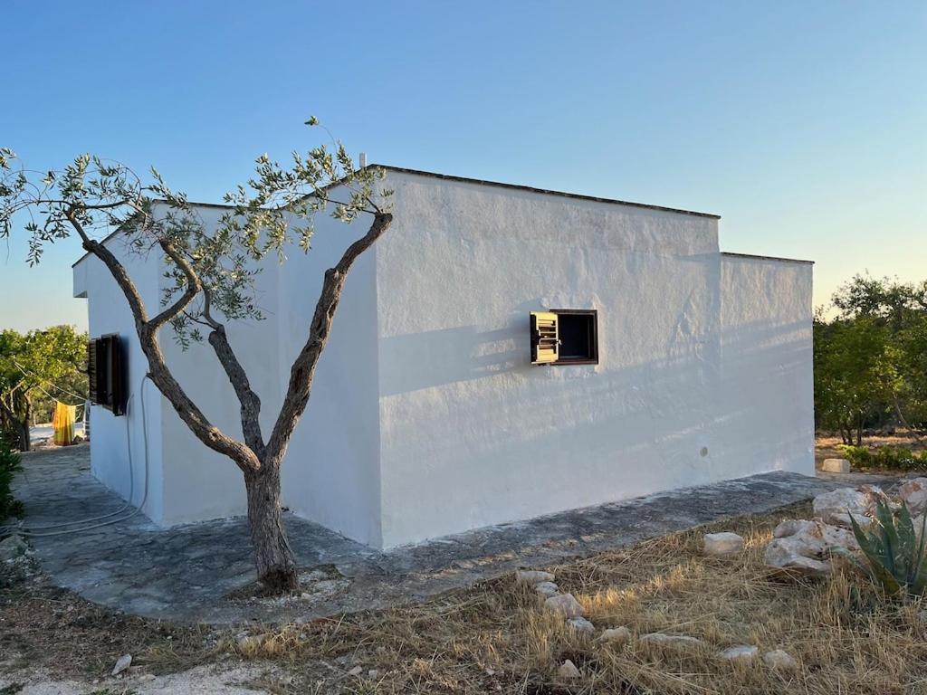 Casa Giuliveto - Charmantes Ferienhaus Mit Privatpool In Olivenhain Ostuni Exterior foto