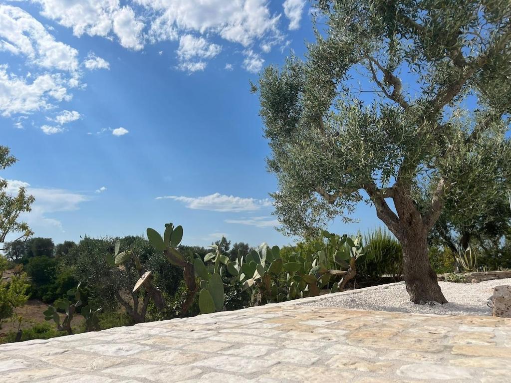 Casa Giuliveto - Charmantes Ferienhaus Mit Privatpool In Olivenhain Ostuni Exterior foto